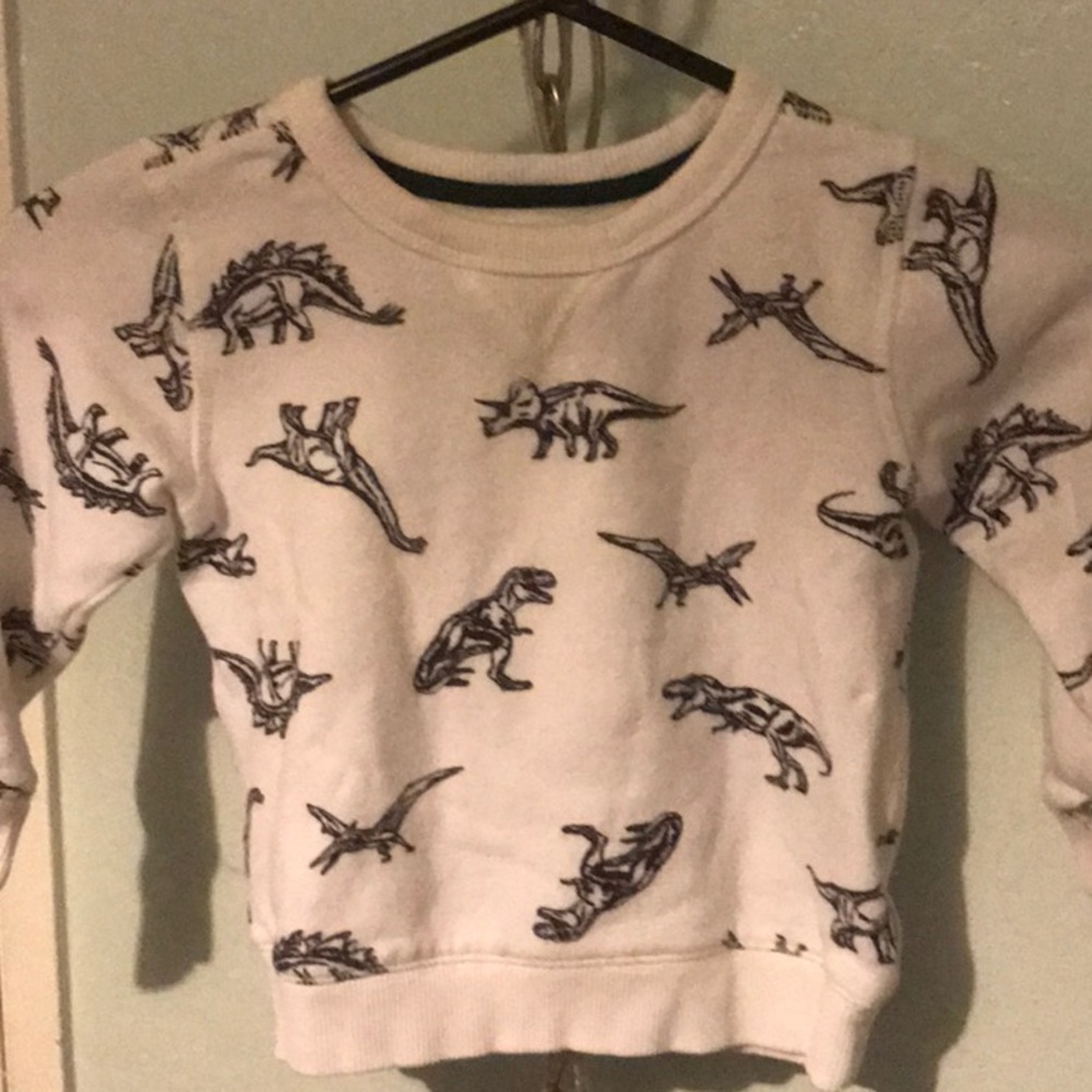 Little boys Dino sweatshirt EUC